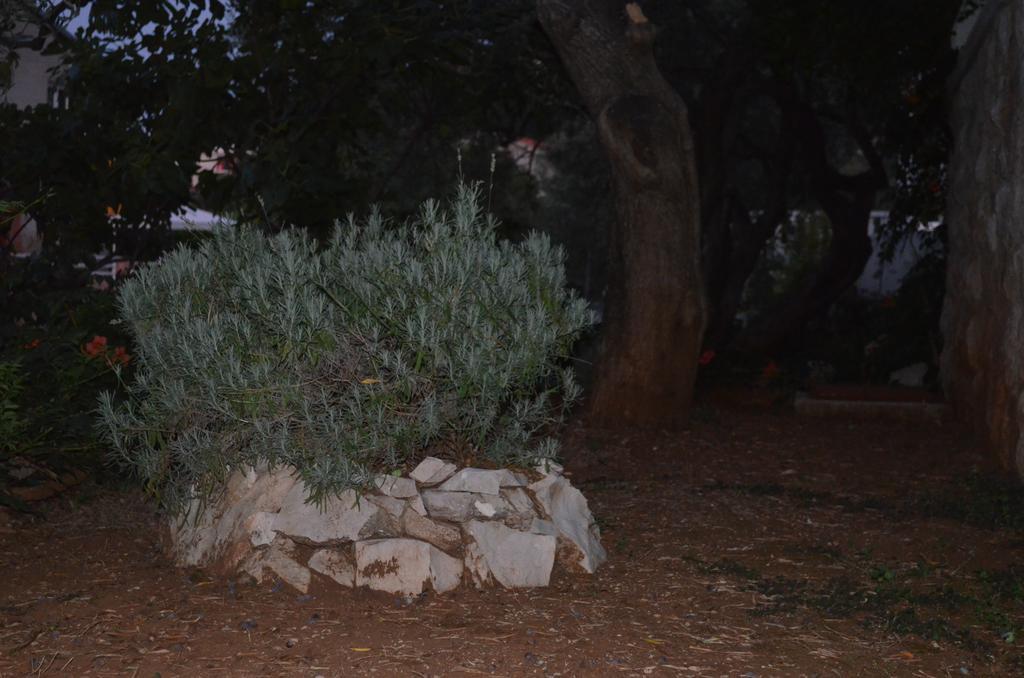Apartmants Bubalo Trpanj Quarto foto
